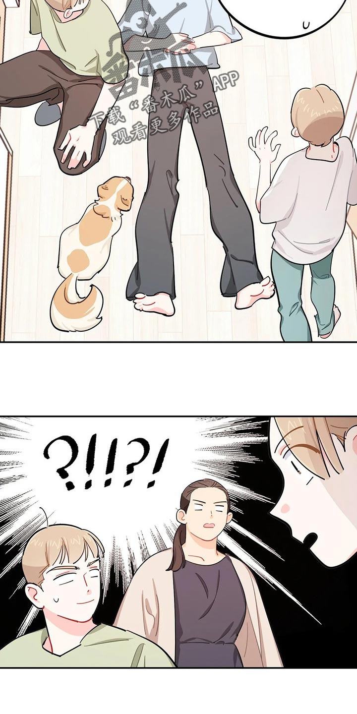 校园之星漫画,第51章：狗毛过敏5图