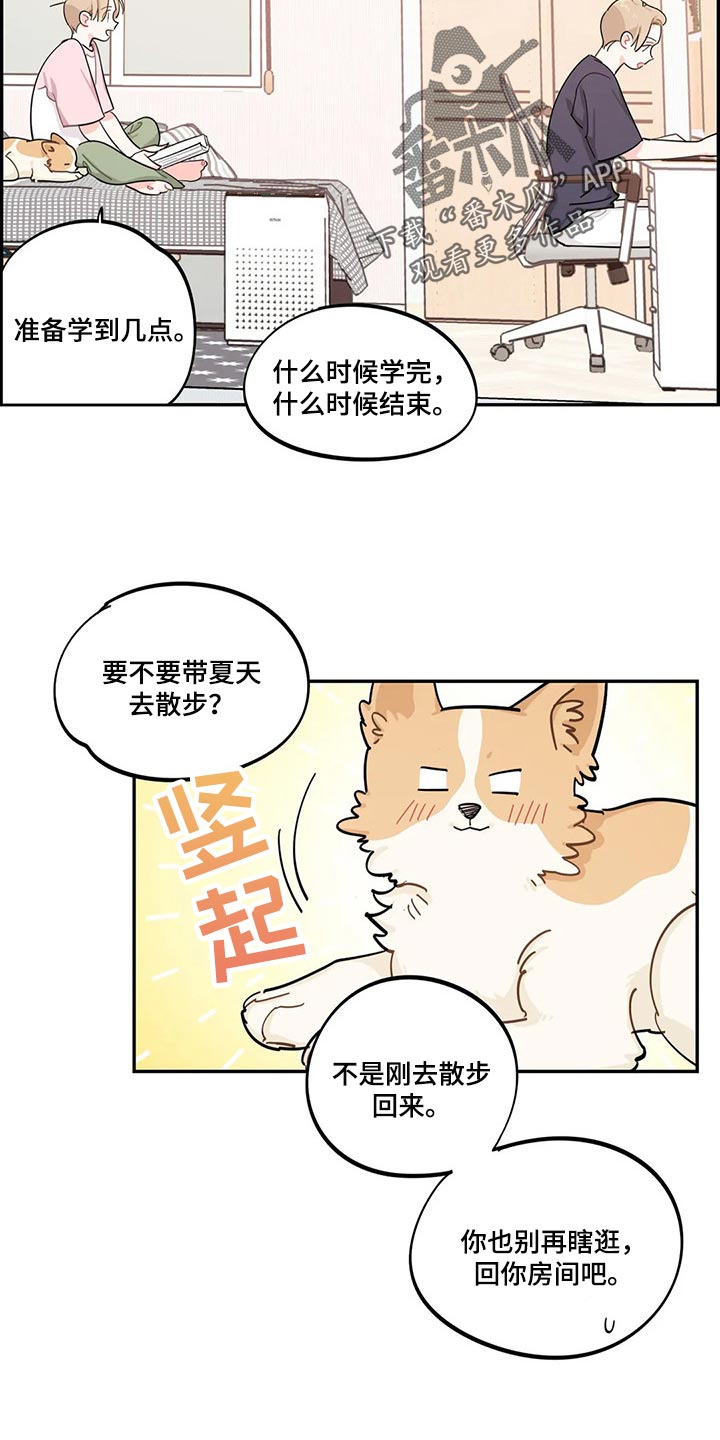 校园之星图片漫画,第48章：努力学习不就好了4图