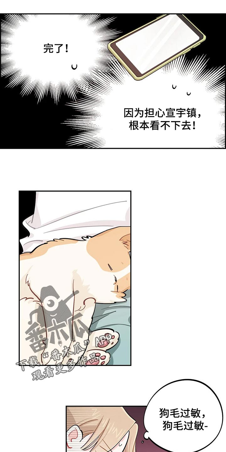 校园之星自我介绍100字左右漫画,第51章：狗毛过敏5图