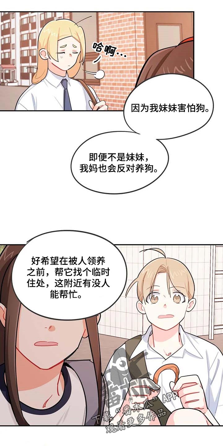 校园之星漫画,第38章：遗弃的狗狗4图