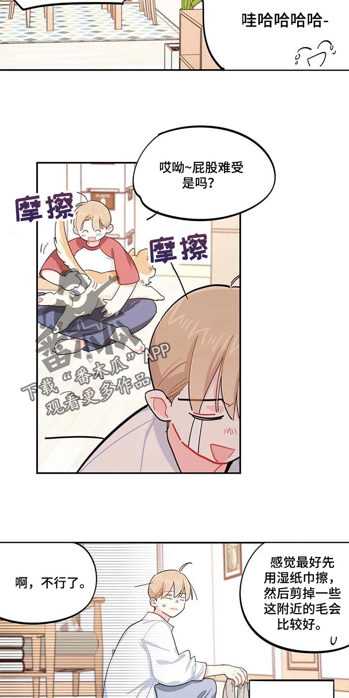校园之星项目漫画,第43章：百分百过敏3图