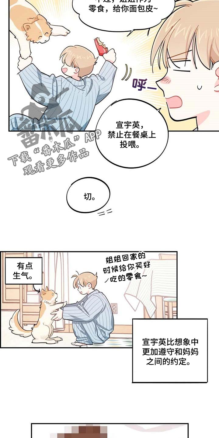 校园之星漫画,第43章：百分百过敏2图