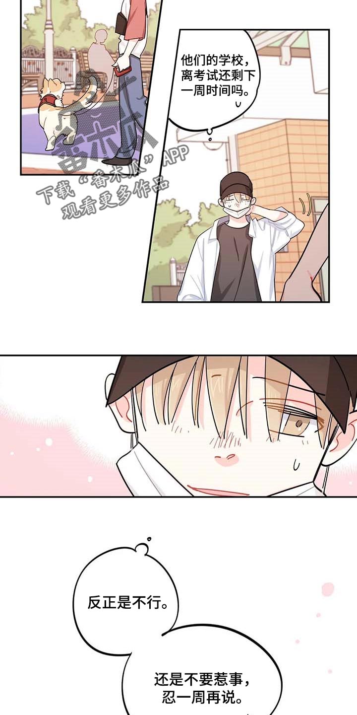 校园之星自我介绍ppt漫画,第44章：一起学习3图