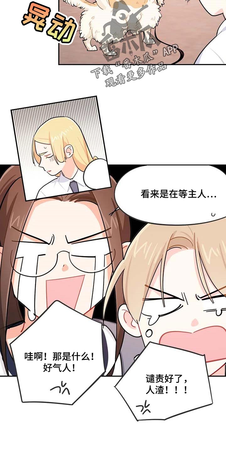 校园之星漫画,第38章：遗弃的狗狗3图