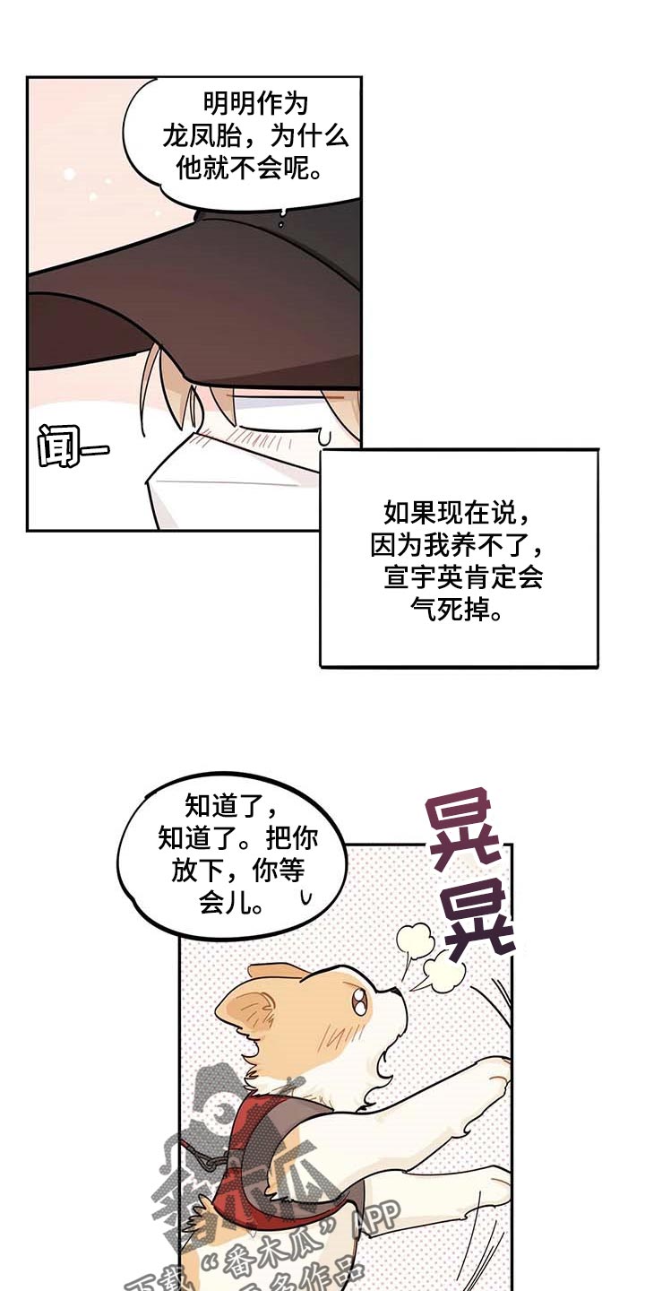 校园之星自我介绍ppt漫画,第44章：一起学习1图