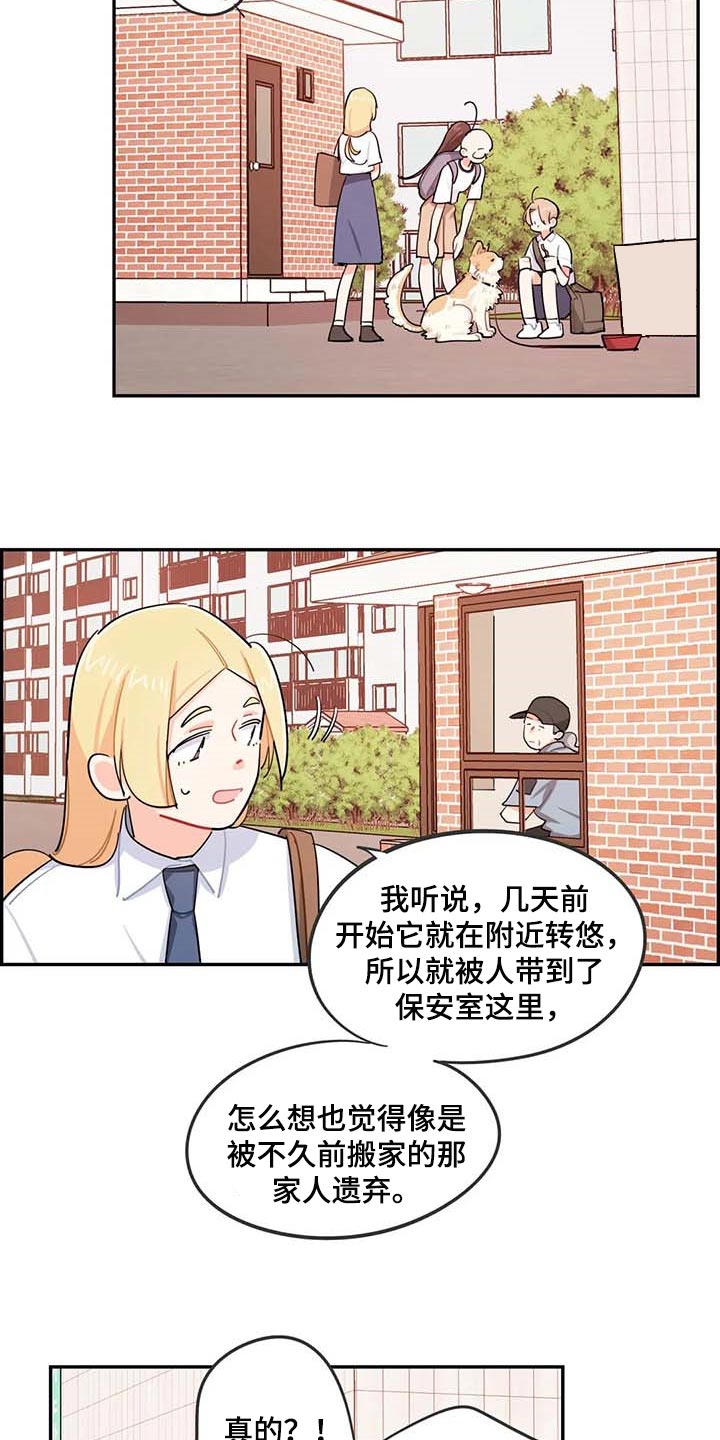 校园之星漫画,第38章：遗弃的狗狗5图