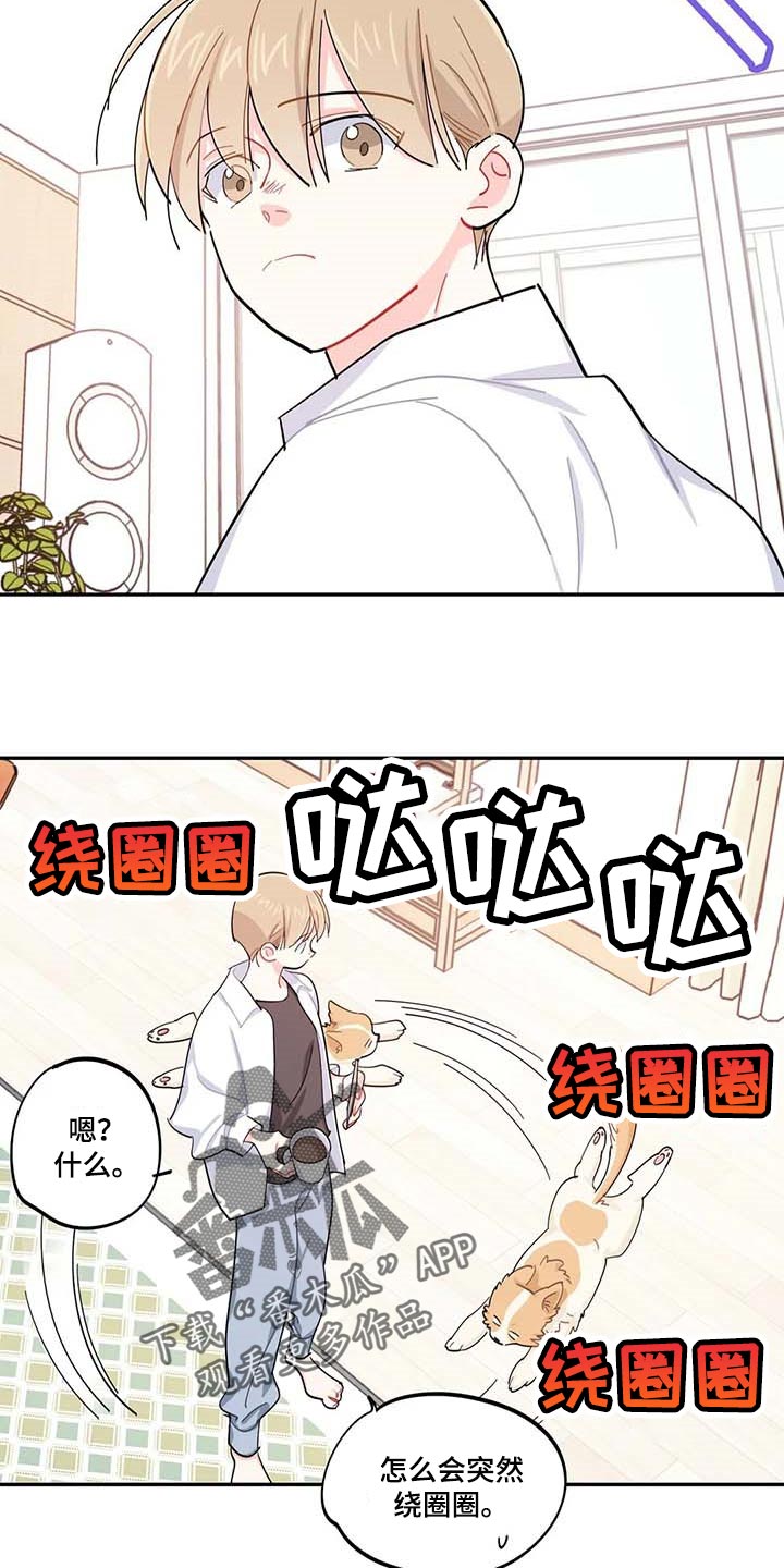 校园之星漫画,第43章：百分百过敏5图