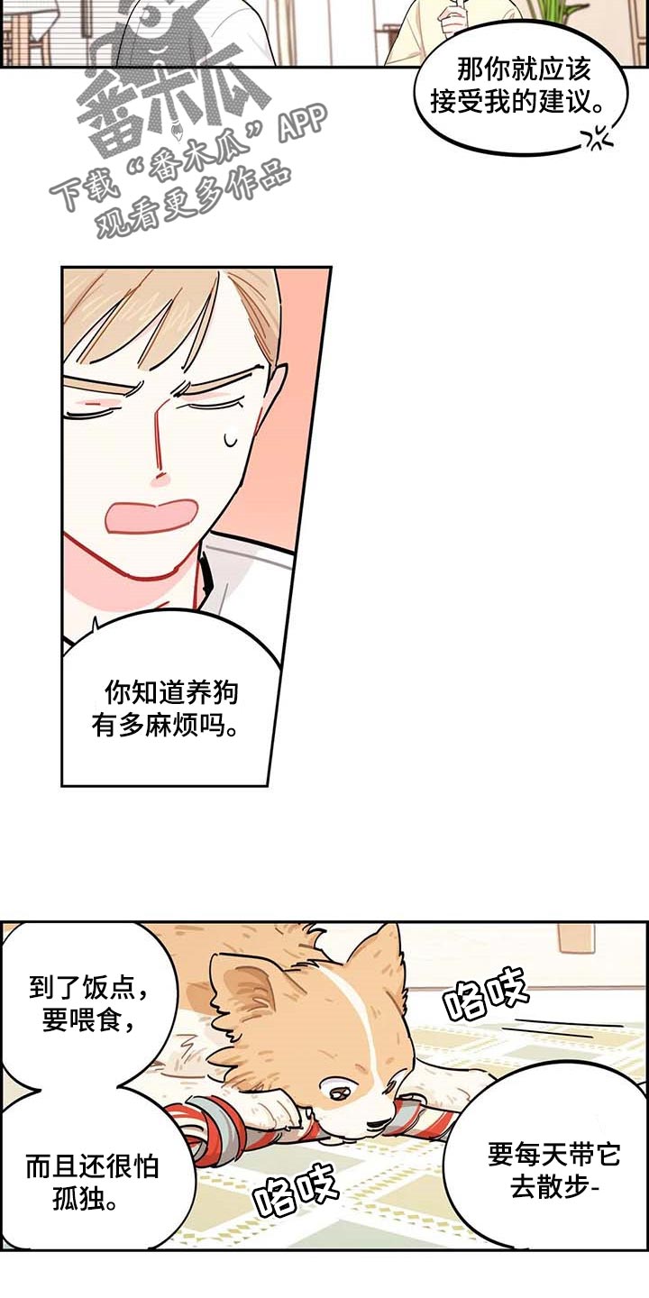 校园之星bgm漫画,第41章：我会负责照顾2图