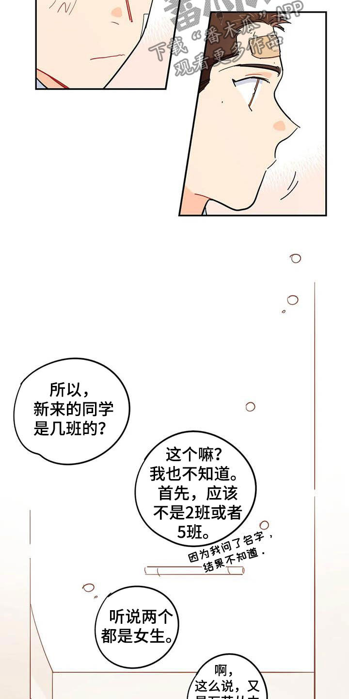 校园之星漫画,第36章：新成员2图