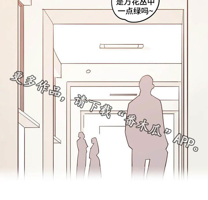 校园之星漫画,第36章：新成员3图
