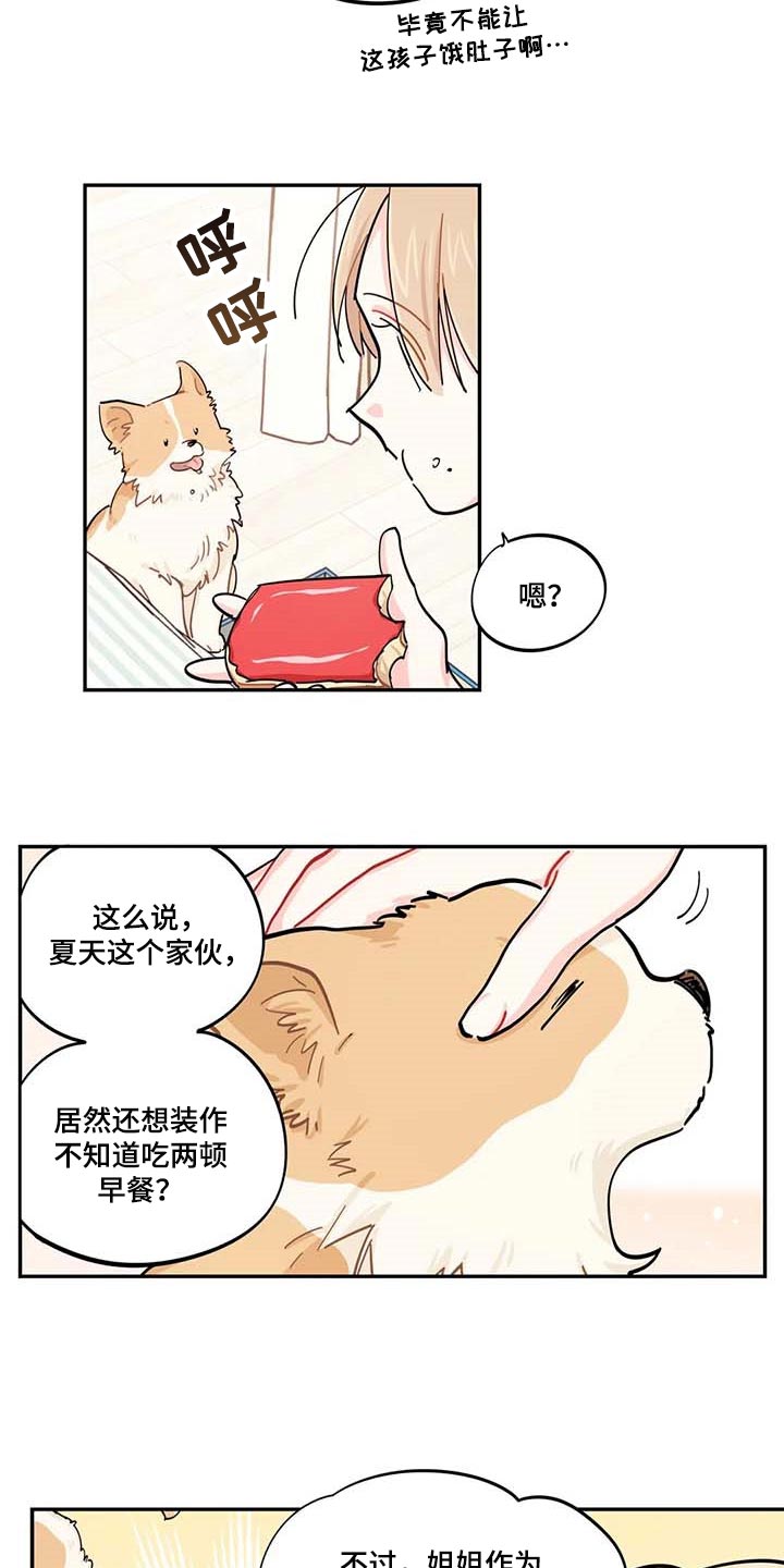 校园之星漫画,第43章：百分百过敏1图