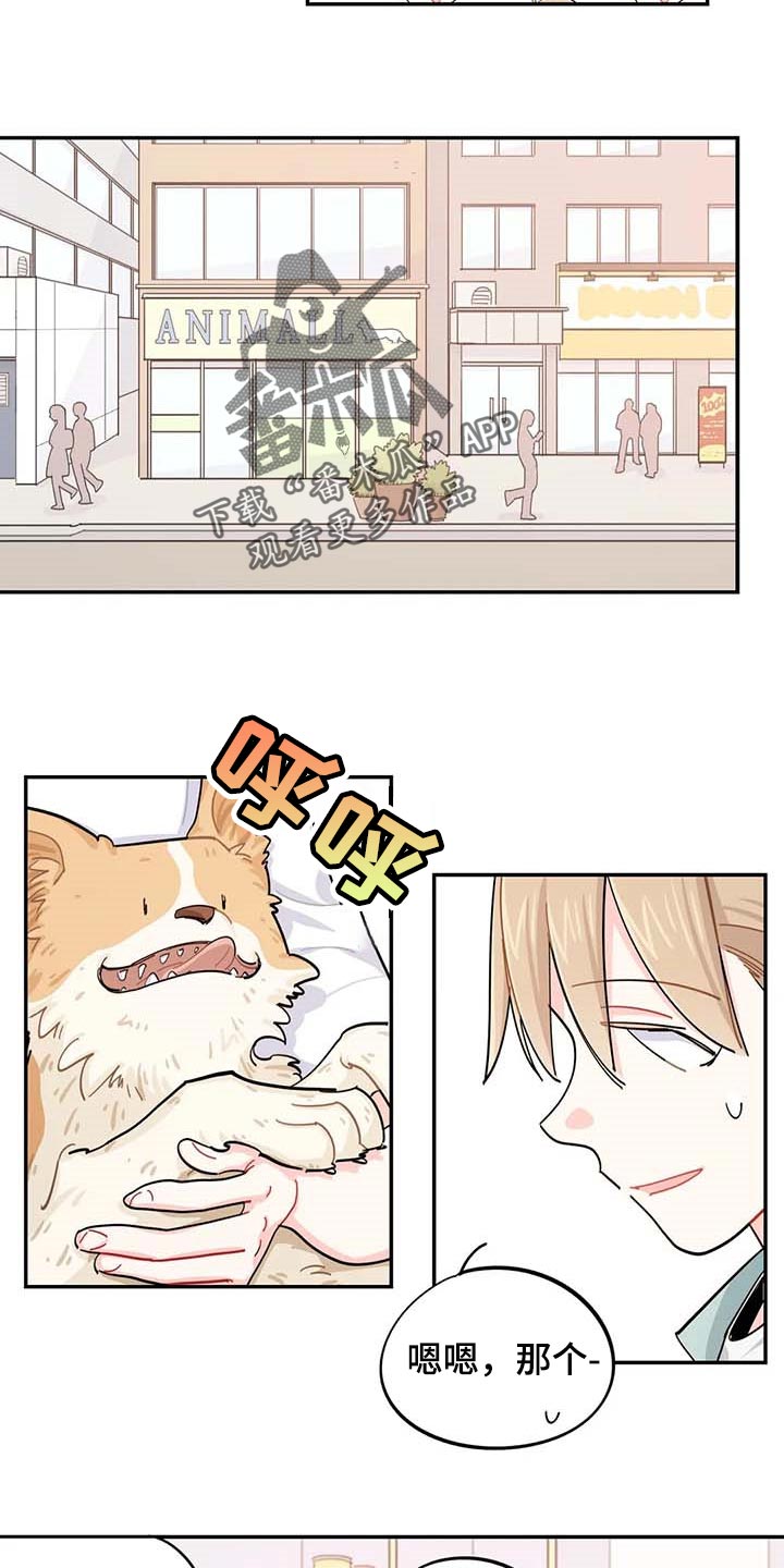 校园之星漫画,第40章：烦人2图