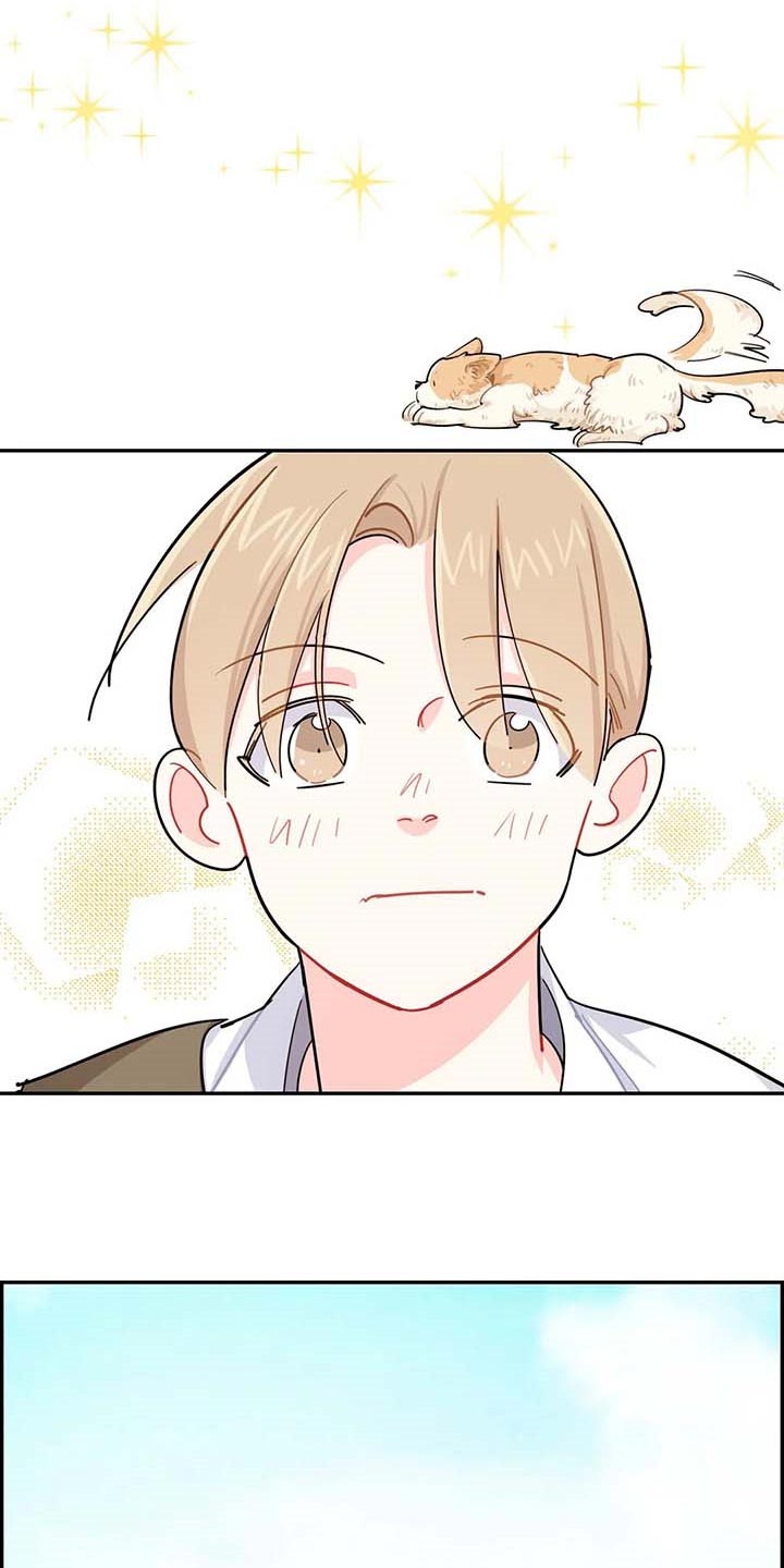 校园之星漫画,第38章：遗弃的狗狗5图