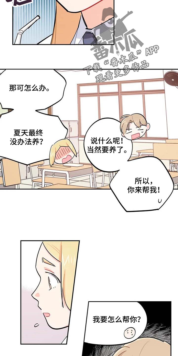 校园之星作文300字漫画,第44章：一起学习3图
