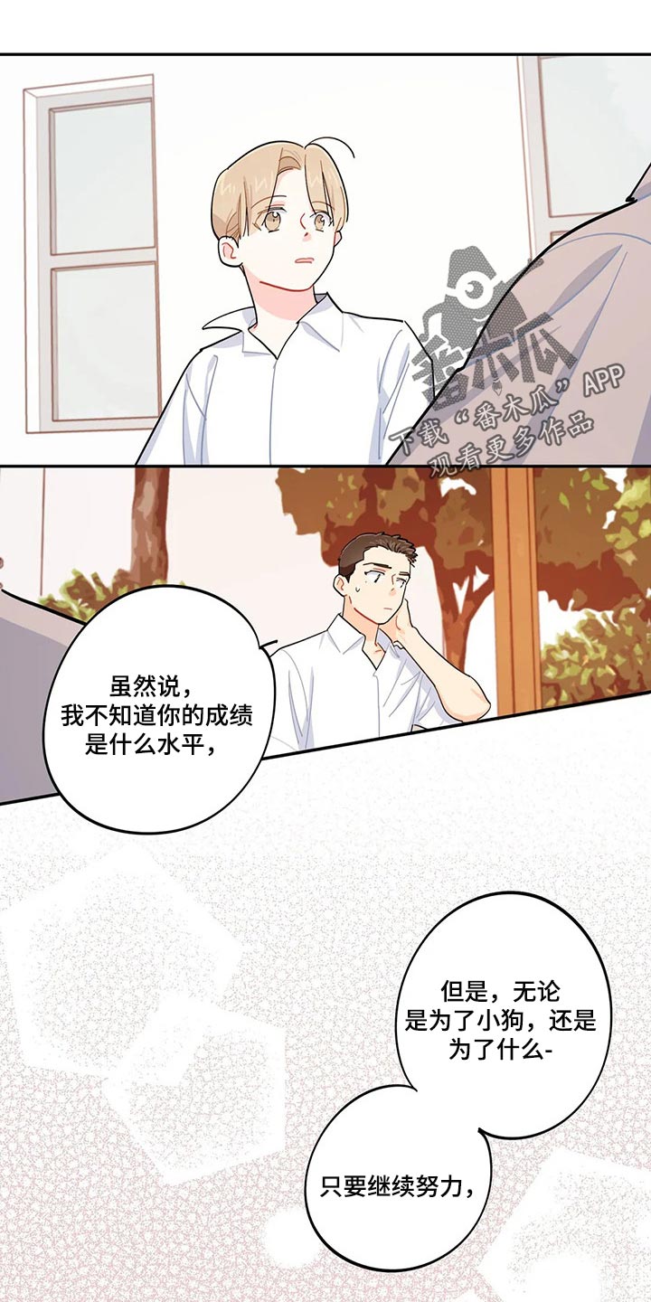 校园之星申请模板漫画,第48章：努力学习不就好了5图