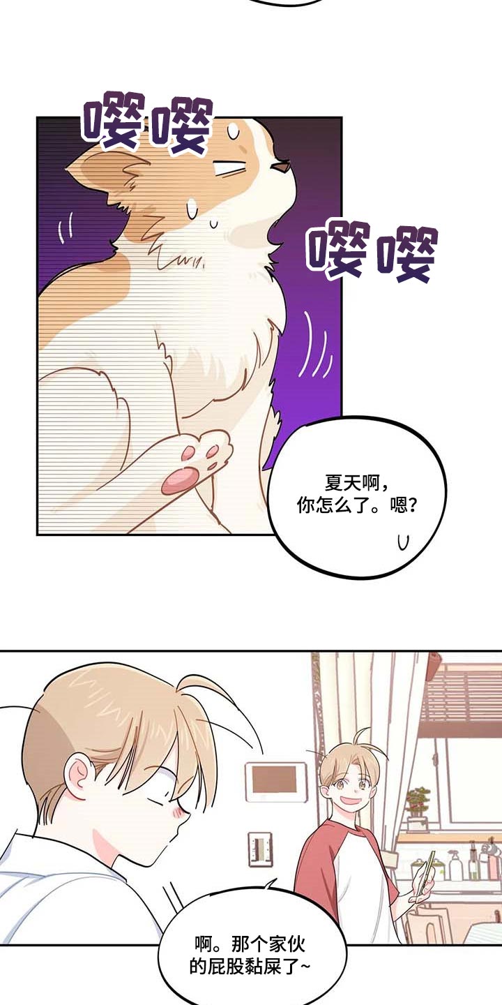 校园之星项目漫画,第43章：百分百过敏1图