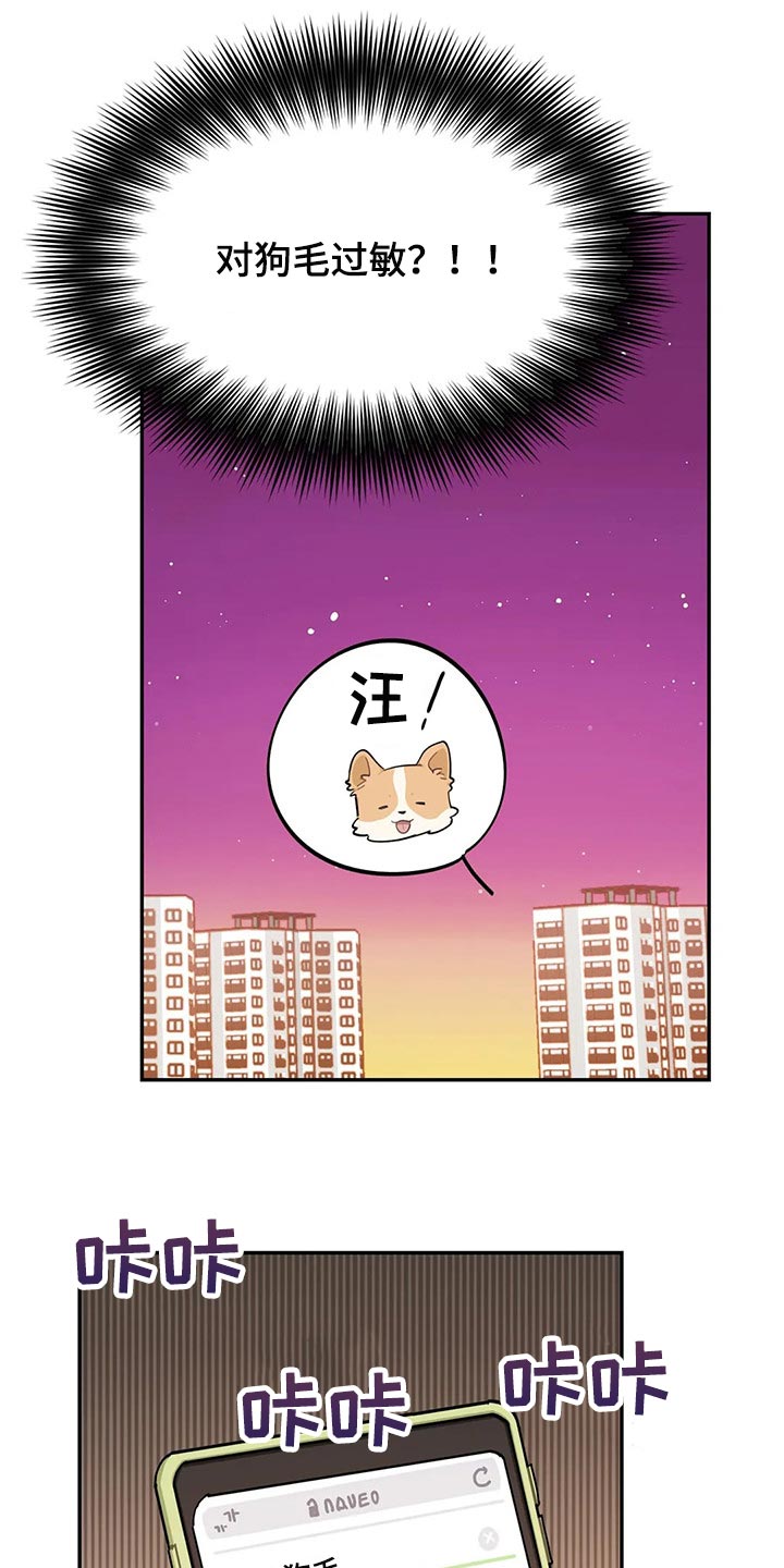 校园之星评比视频漫画,第51章：狗毛过敏1图