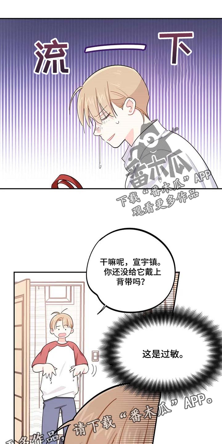 校园之星项目漫画,第43章：百分百过敏5图