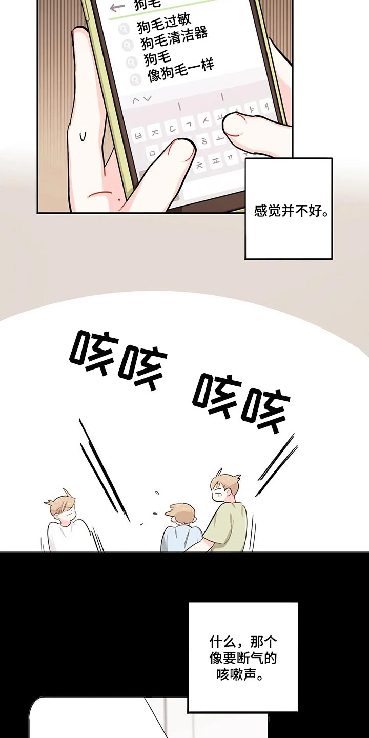 校园之星评比视频漫画,第51章：狗毛过敏2图