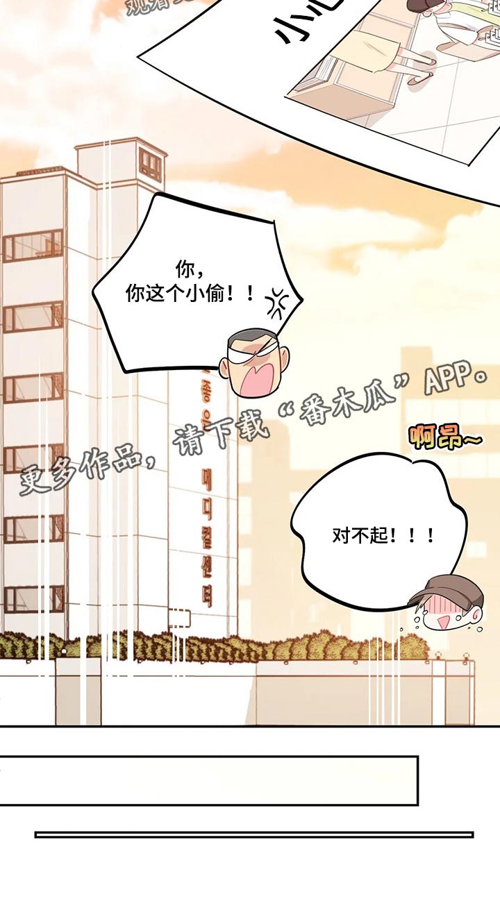 校园之星漫画,第61章：突发事件2图