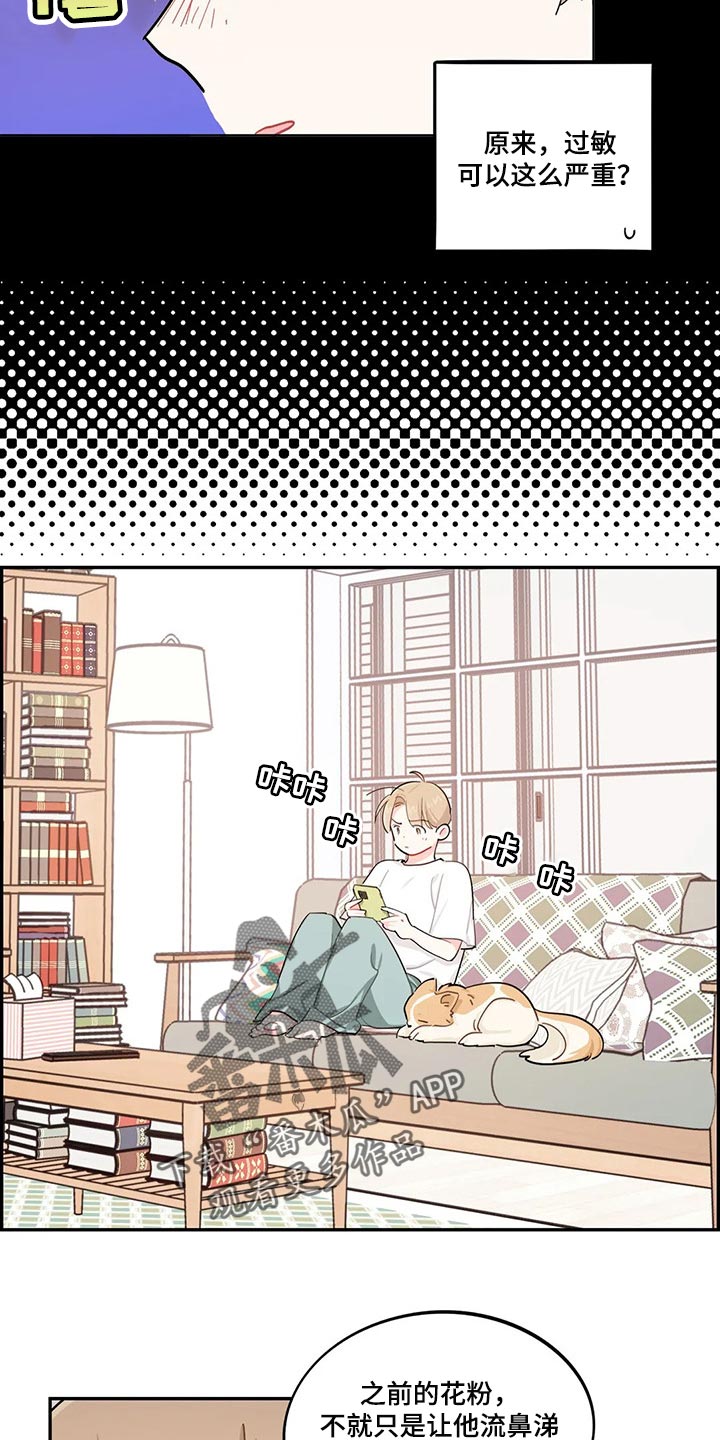 校园之星评比视频漫画,第51章：狗毛过敏4图