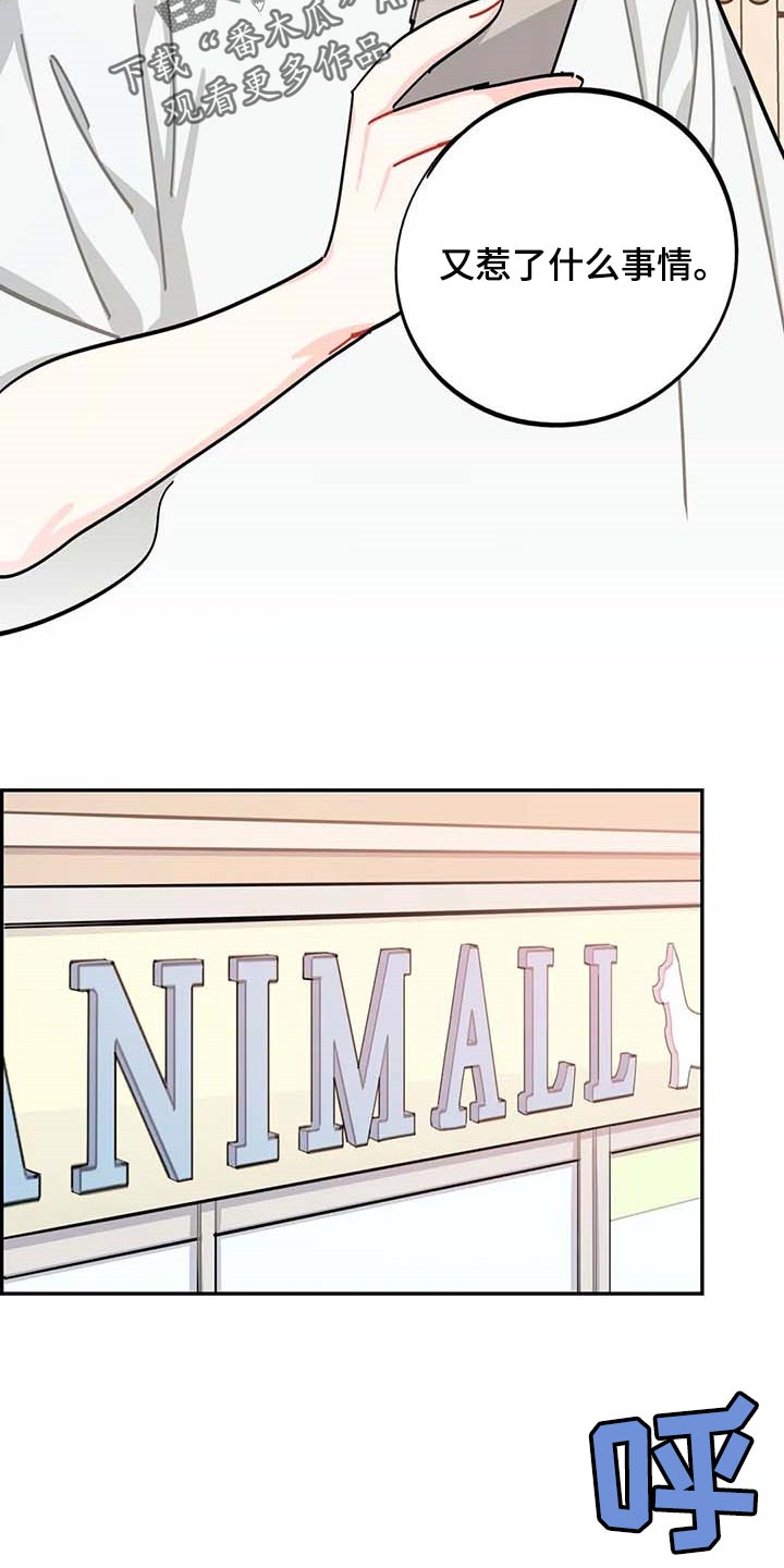 校园之星类型漫画,第39章：有急事！3图