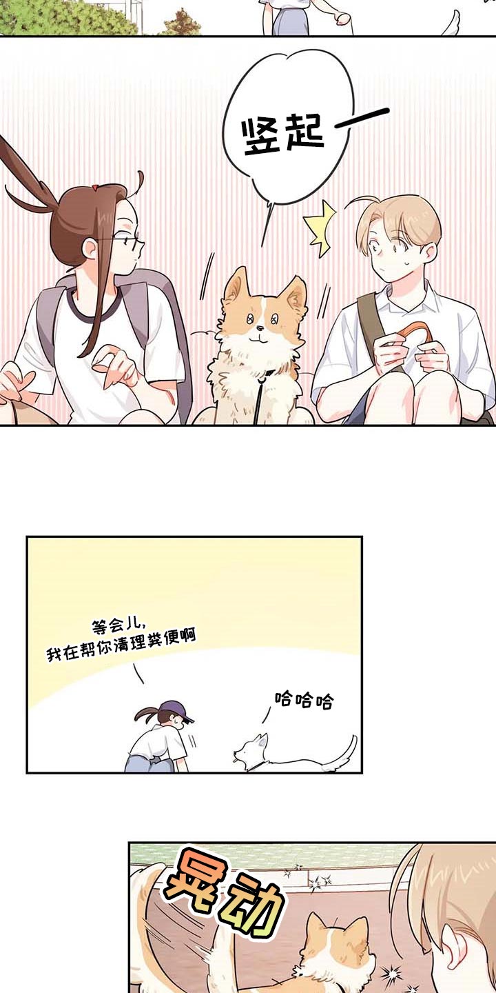 校园之星漫画,第38章：遗弃的狗狗2图