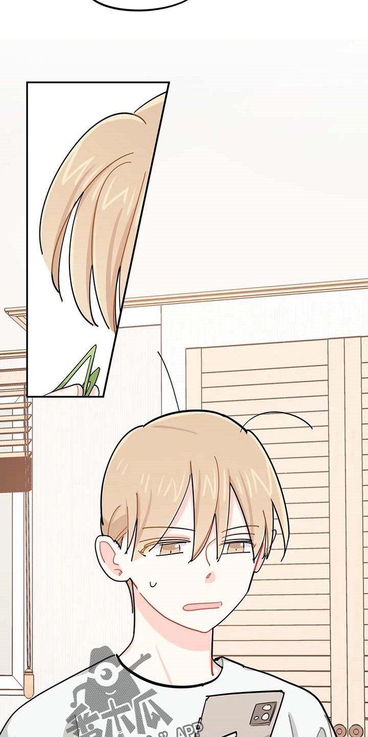 校园之星类型漫画,第39章：有急事！2图