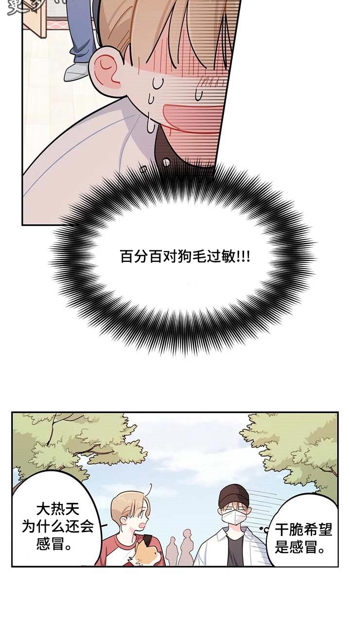 校园之星项目漫画,第43章：百分百过敏1图