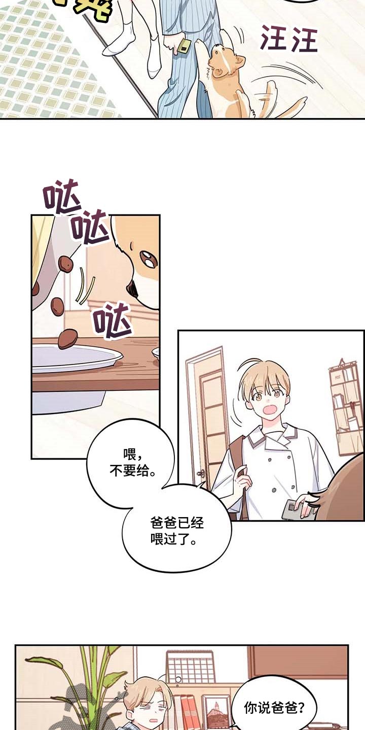 校园之星漫画,第43章：百分百过敏4图