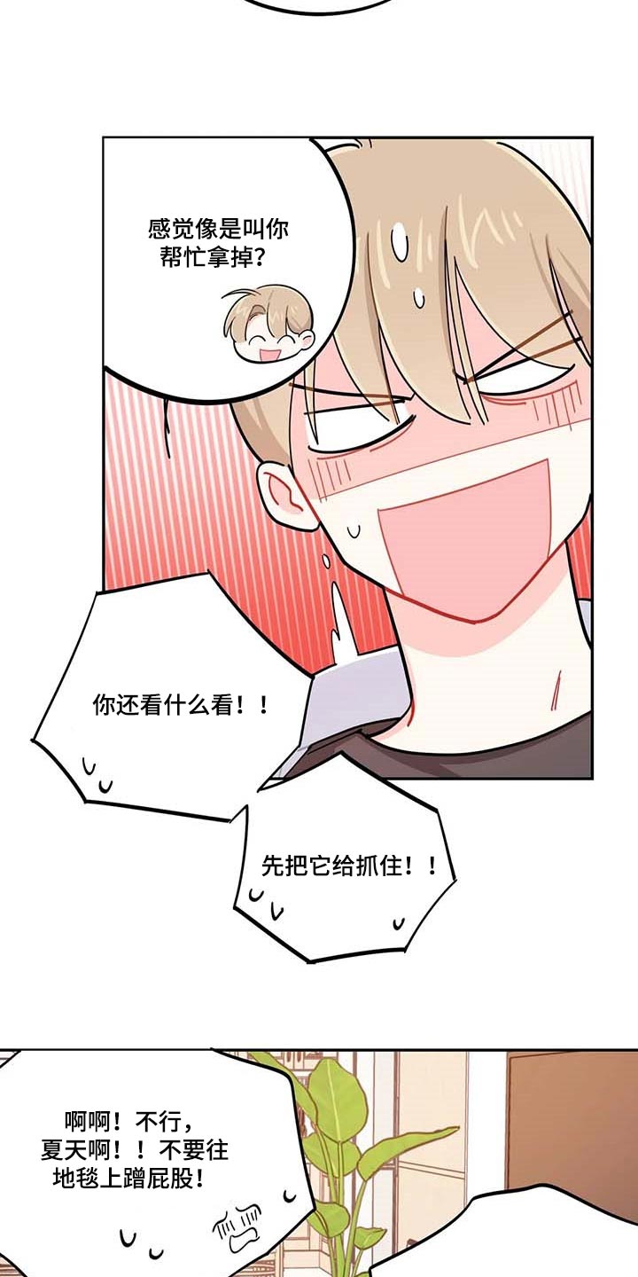 校园之星项目漫画,第43章：百分百过敏2图