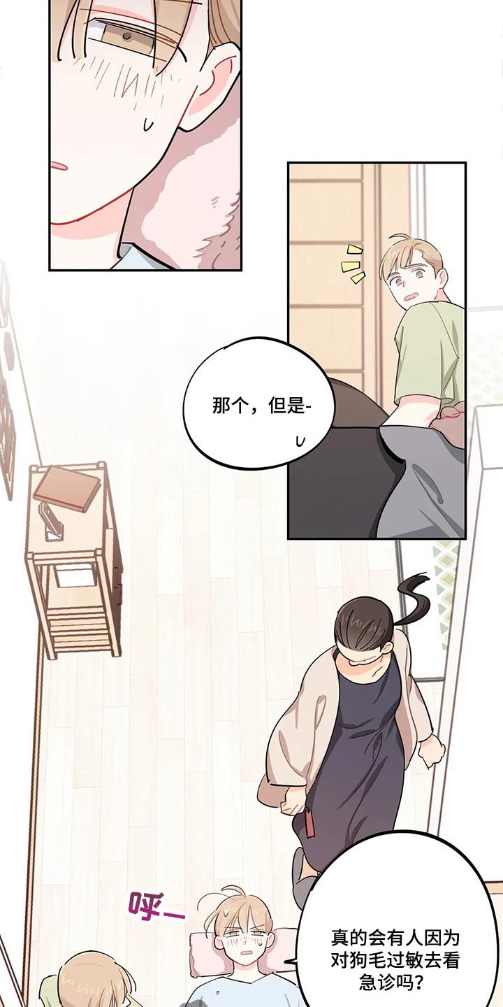校园之星漫画,第51章：狗毛过敏4图