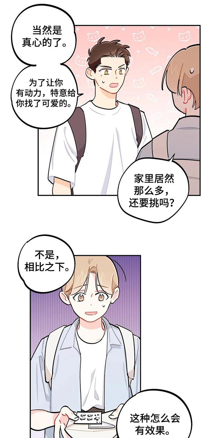 校园之星的事迹简介漫画,第75章：盖章【第一季完结】2图