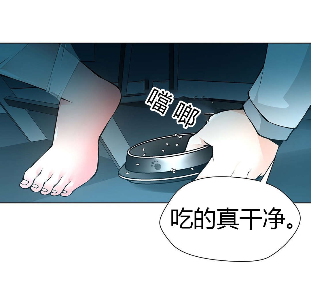 监禁庄园漫画,第52章：梅花3图