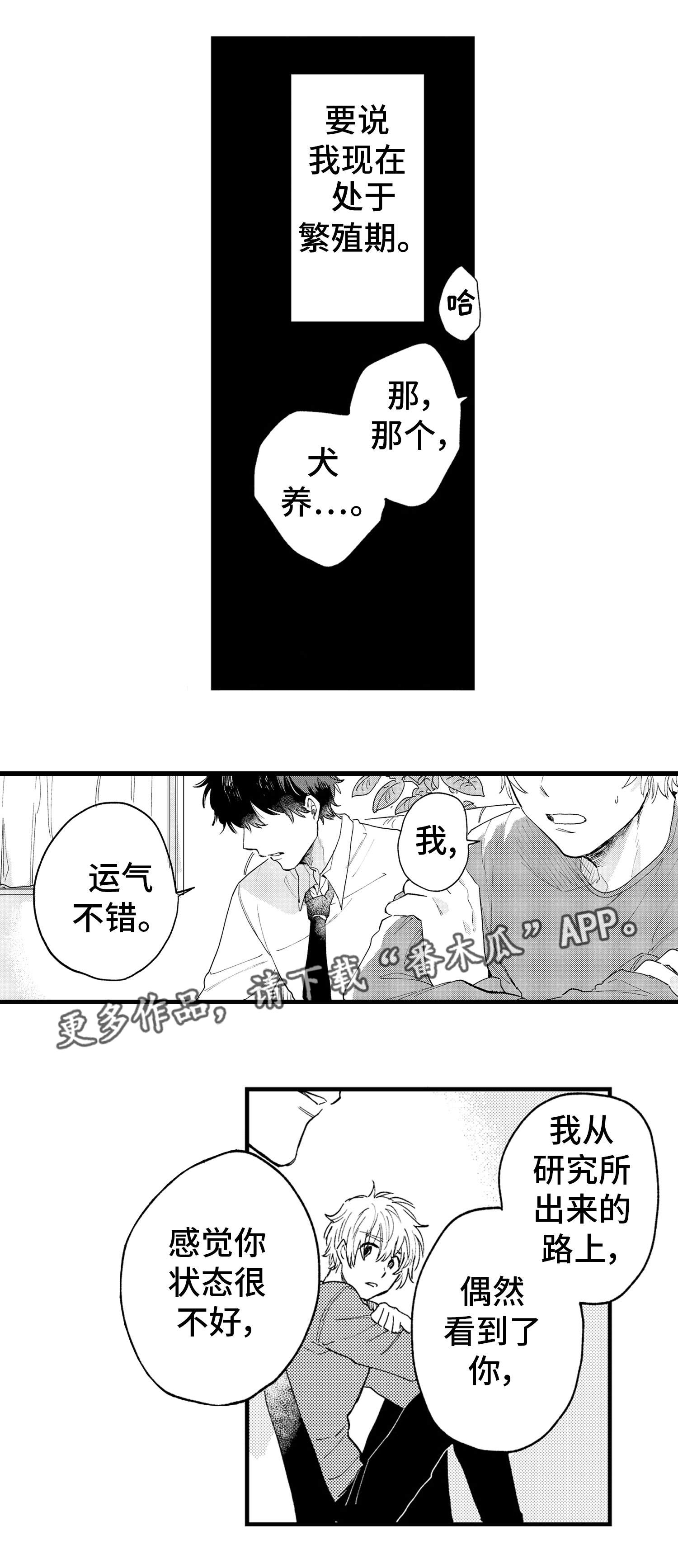 最后的阿尔法漫画,第11章：冷静2图