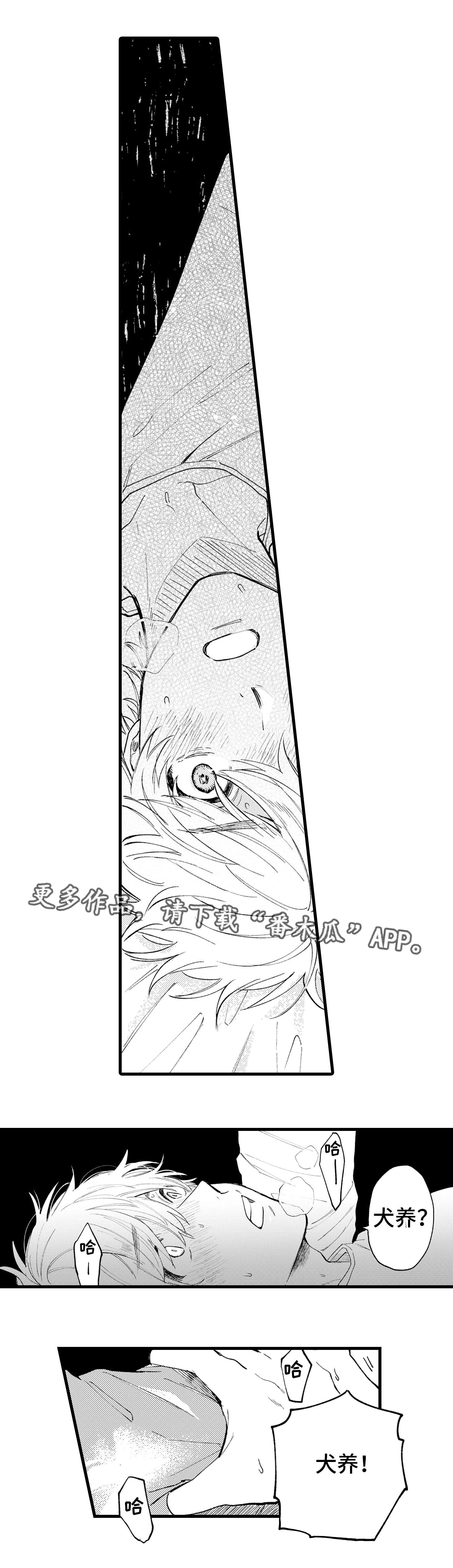 最后的阿尔法漫画,第12章：发狂1图