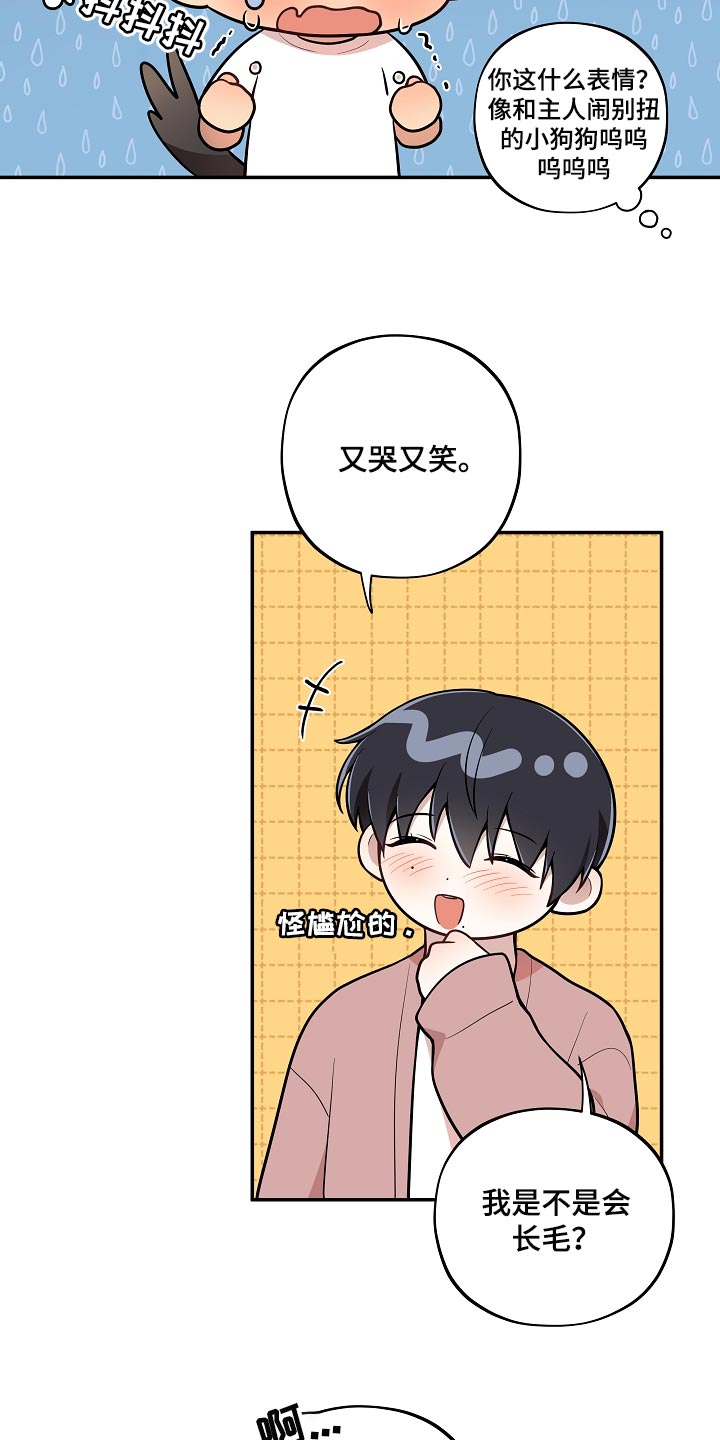 社死进行时漫画,第37章：表白4图