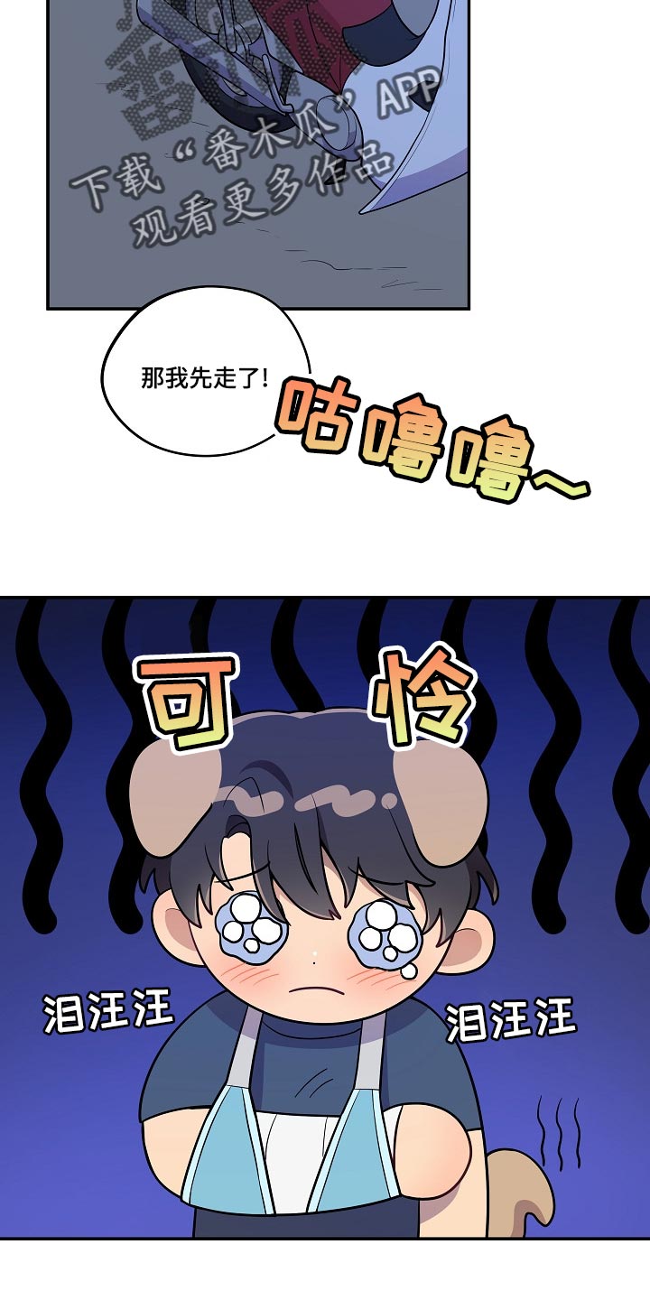 社死怎么办漫画,第21章：共有财产2图