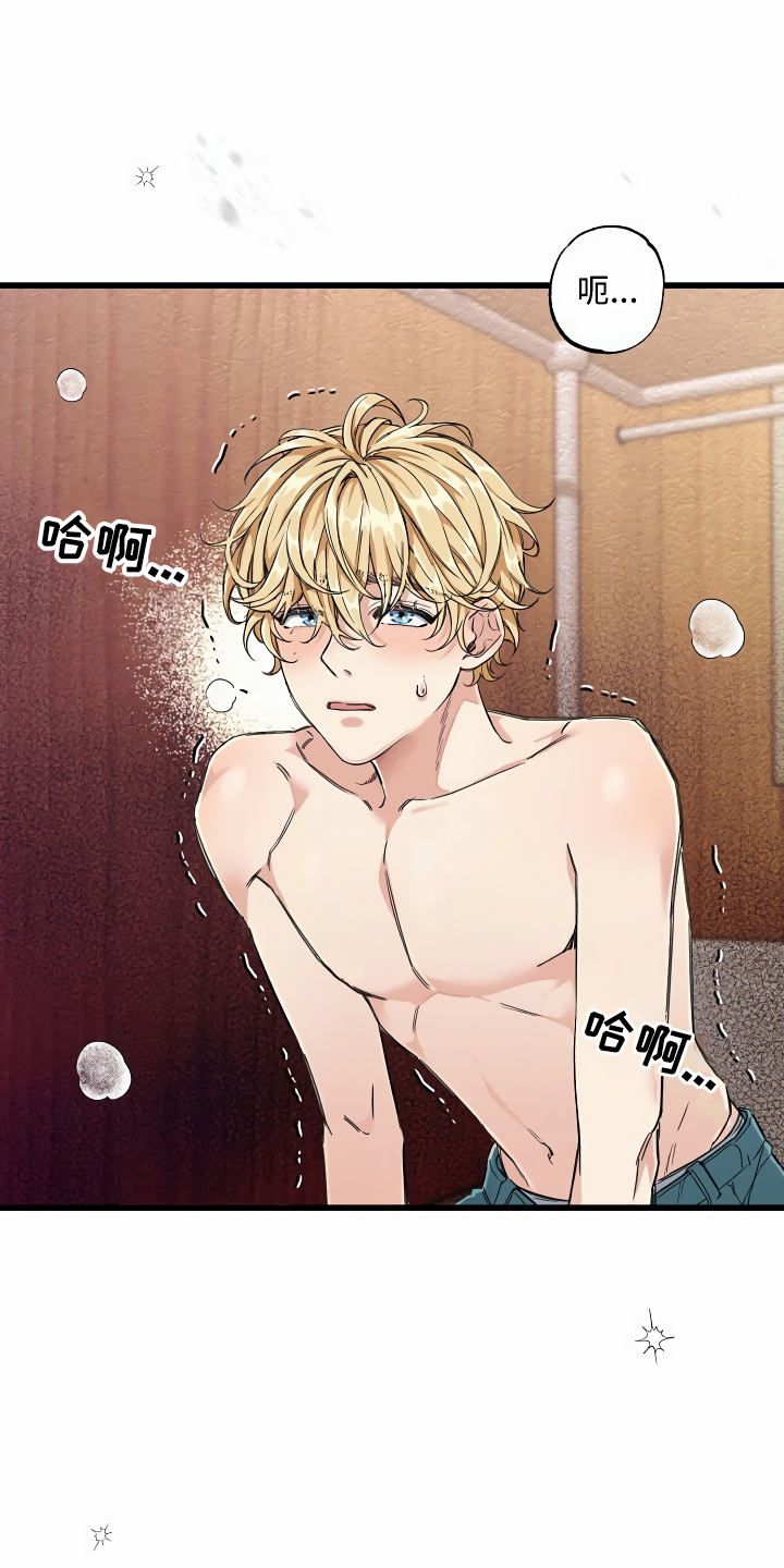 绝望列车在哪个软件免费看漫画,第5章：拉上窗帘2图