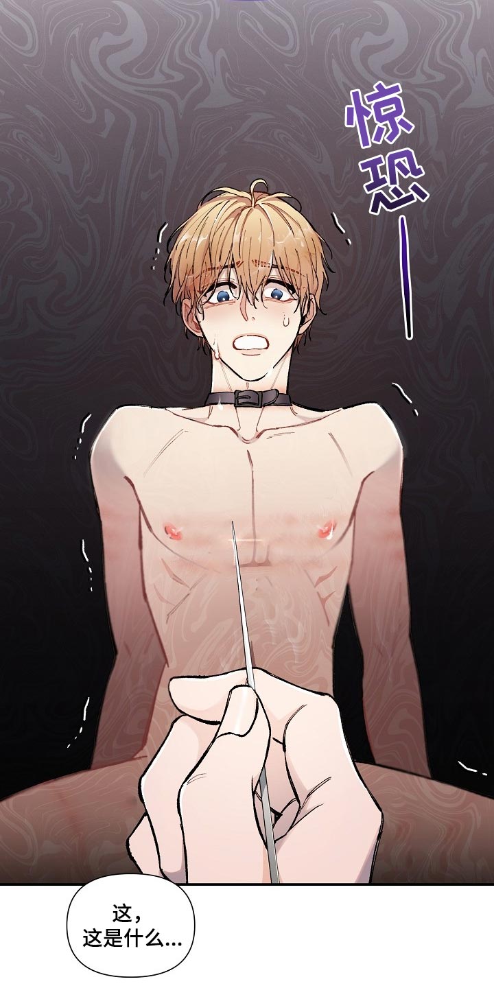 绝望列车免费观看下拉式漫画,第71章：【第二季】痕迹4图