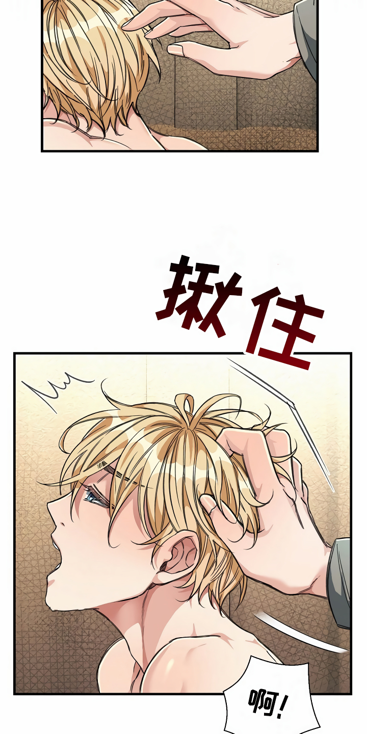 绝望列车免费观看下拉式漫画,第22章：经济舱玩具2图