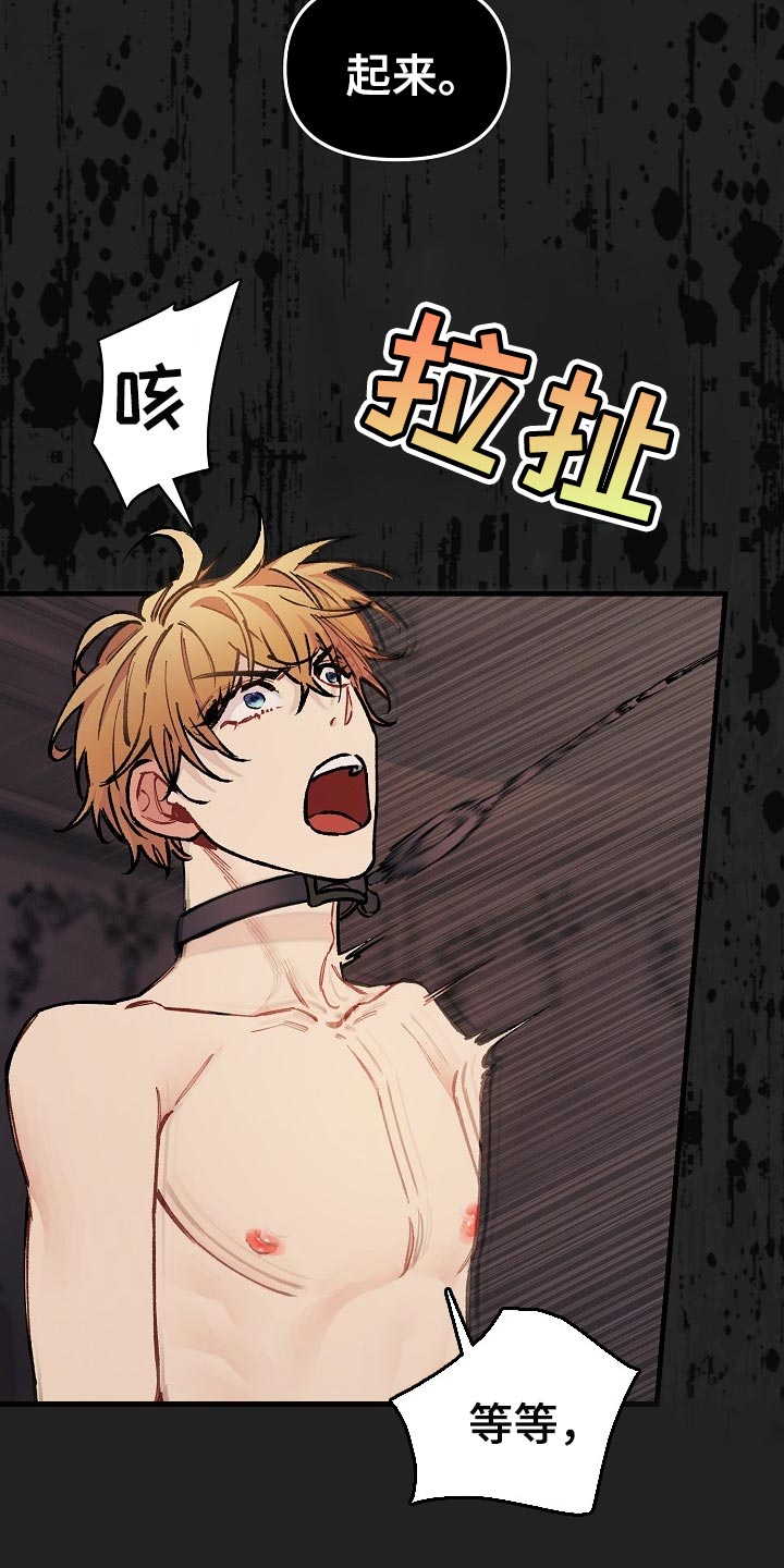 绝望列车免费观看下拉式漫画,第66章：【第二季】不用狡辩4图