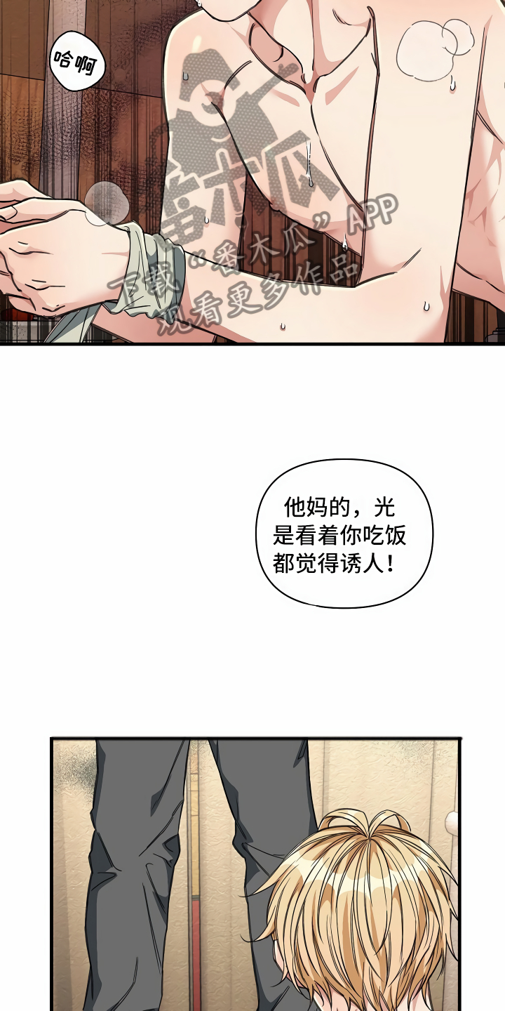 绝望列车免费观看下拉式漫画,第22章：经济舱玩具4图