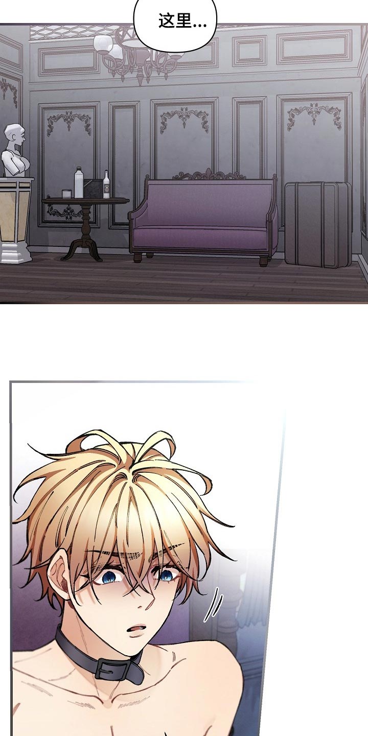 绝望列车剧情漫画,第68章：【第二季】毕竟是市场4图