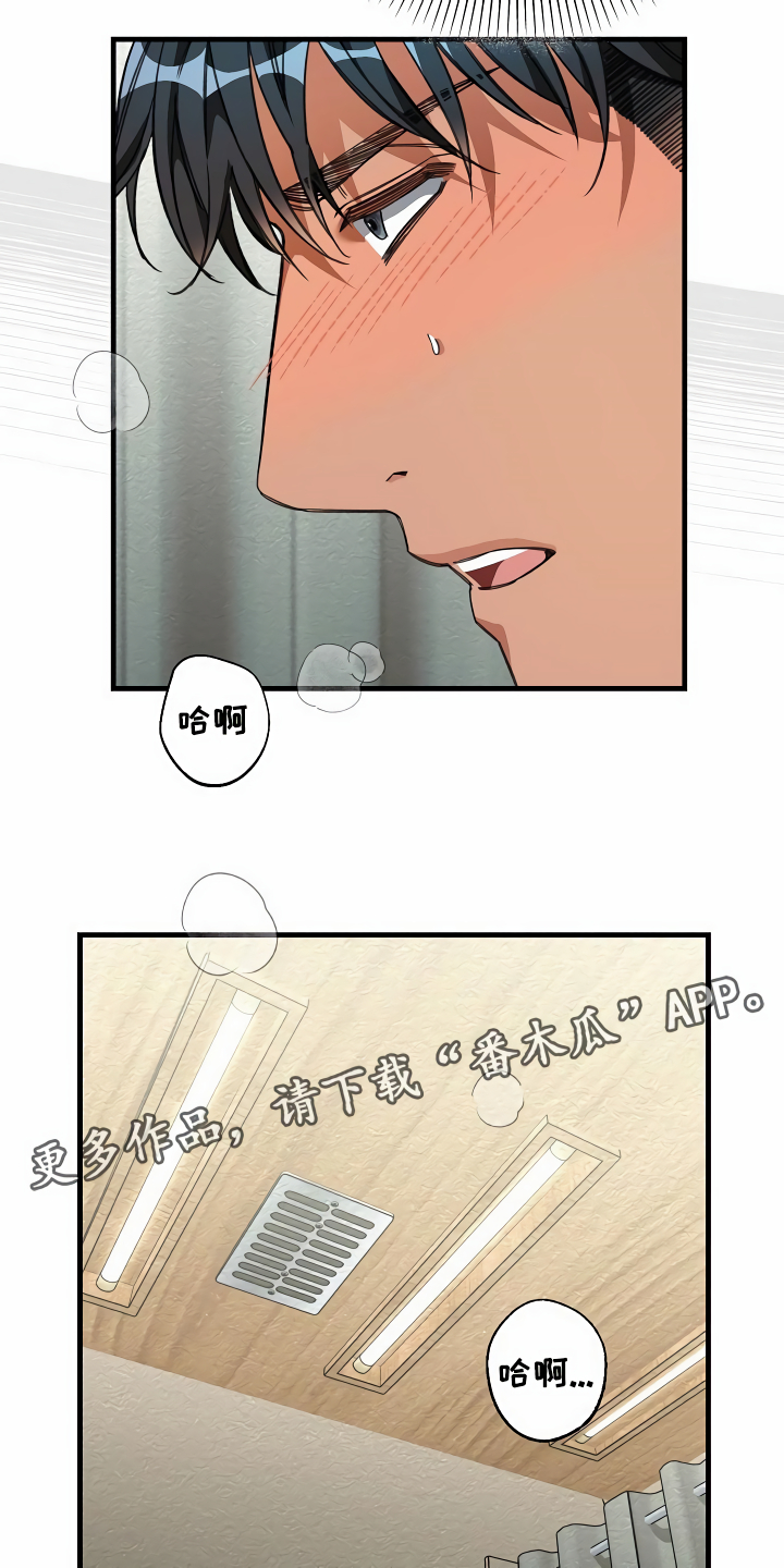 绝望列车免费观看下拉式漫画,第35章：主动命令2图