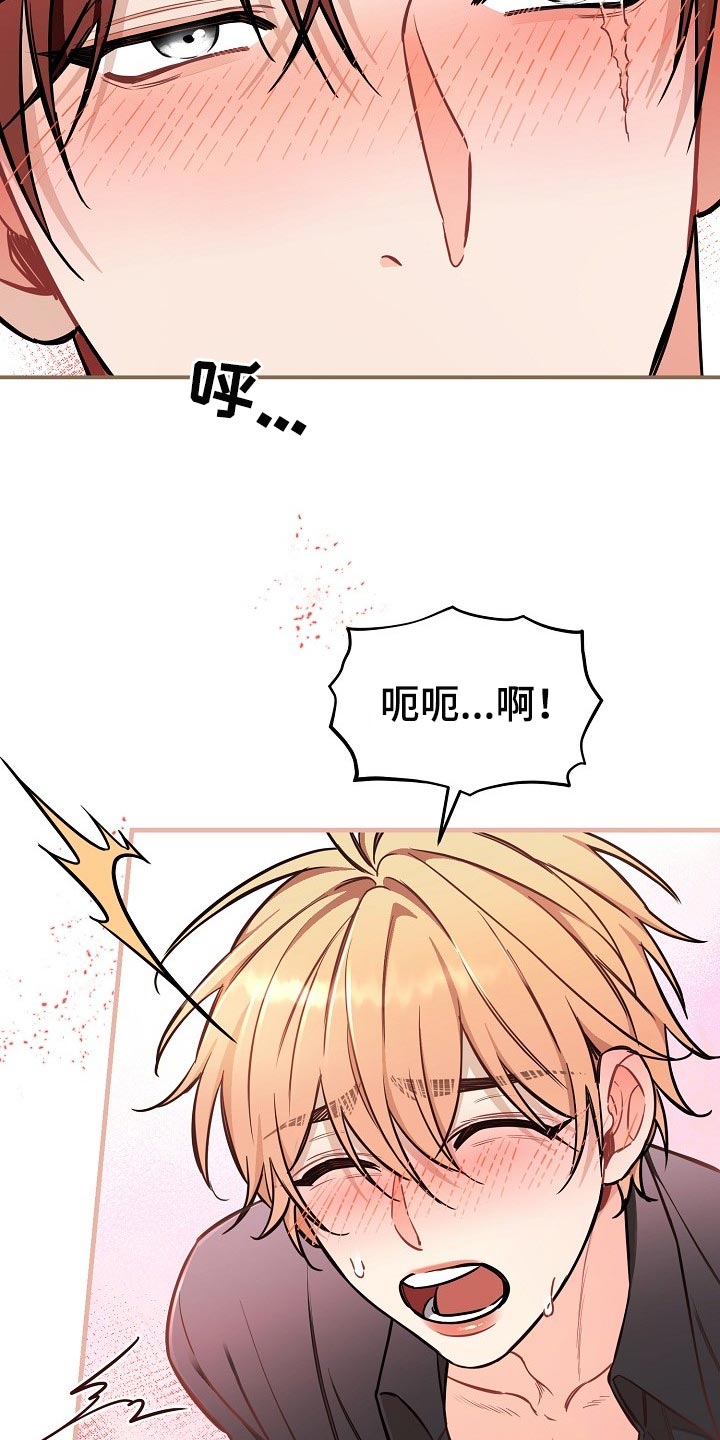 绝望主妇第五季漫画,第79章：【第二季】还能回头吗？3图