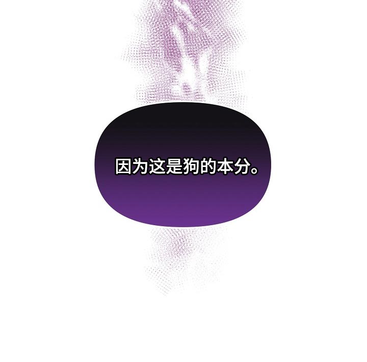 绝望列车全文免费阅读漫画,第65章：【第二季】狗的本分5图