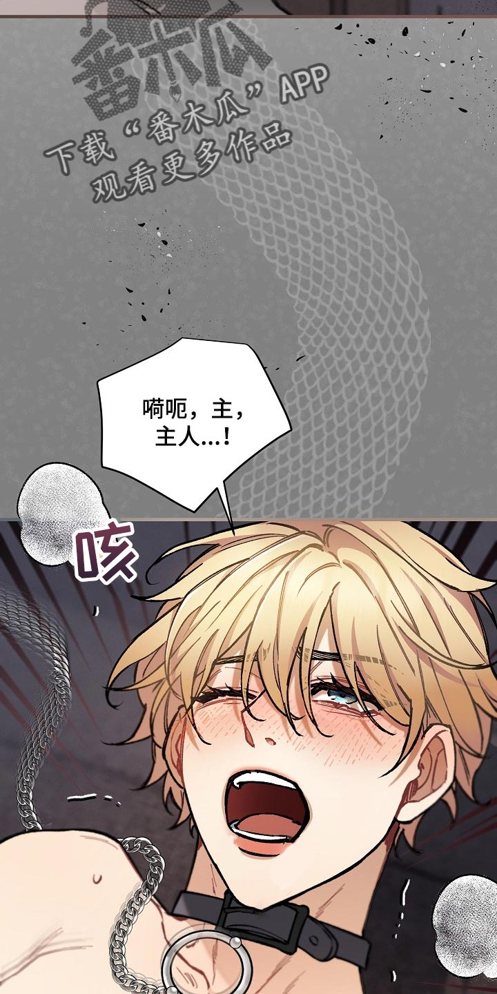 绝望列车在线免费看漫画,第64章：【第二季】正式开始3图