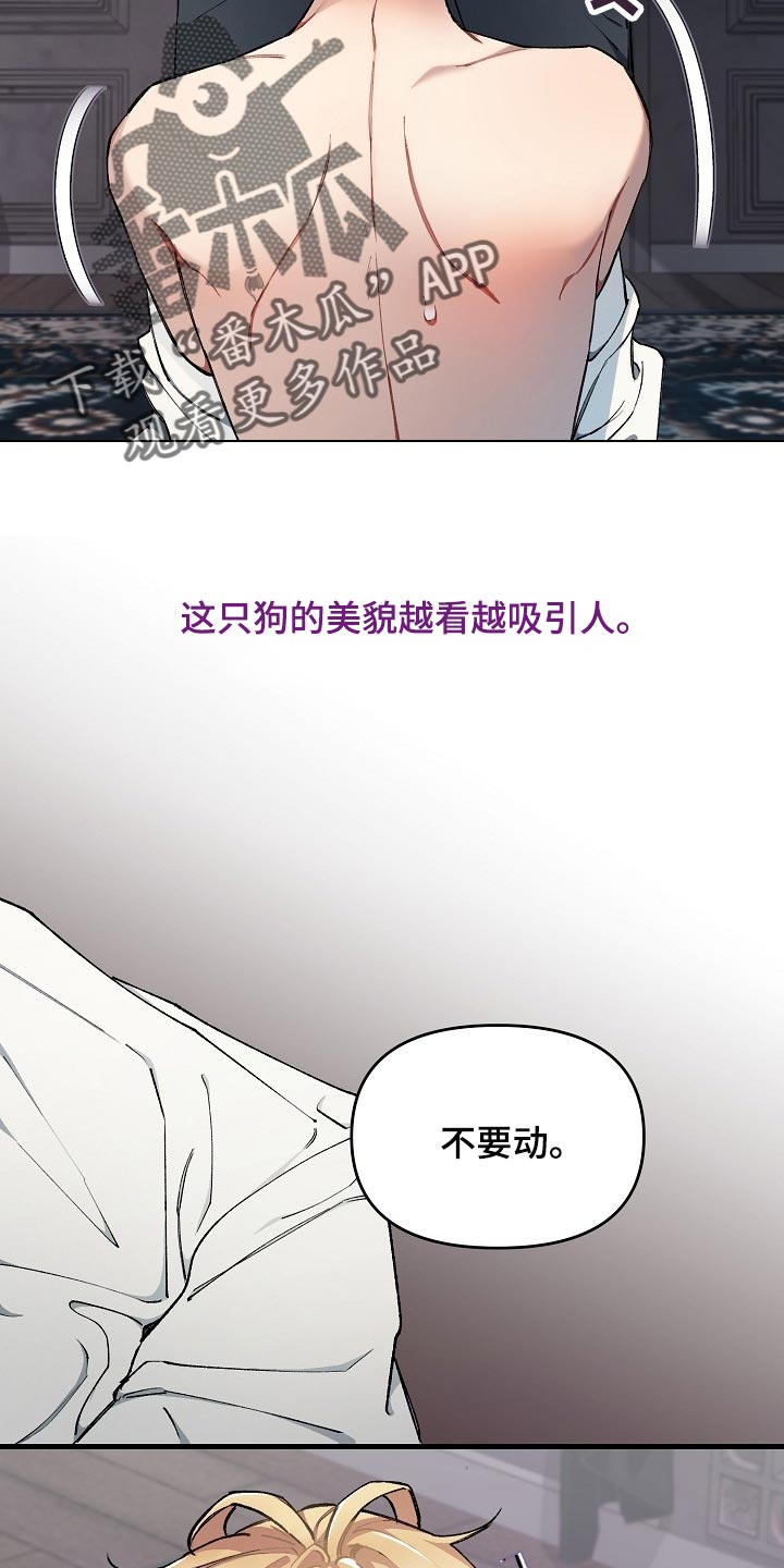 绝望列车漫画漫画,第59章：【第二季】不错的选择5图