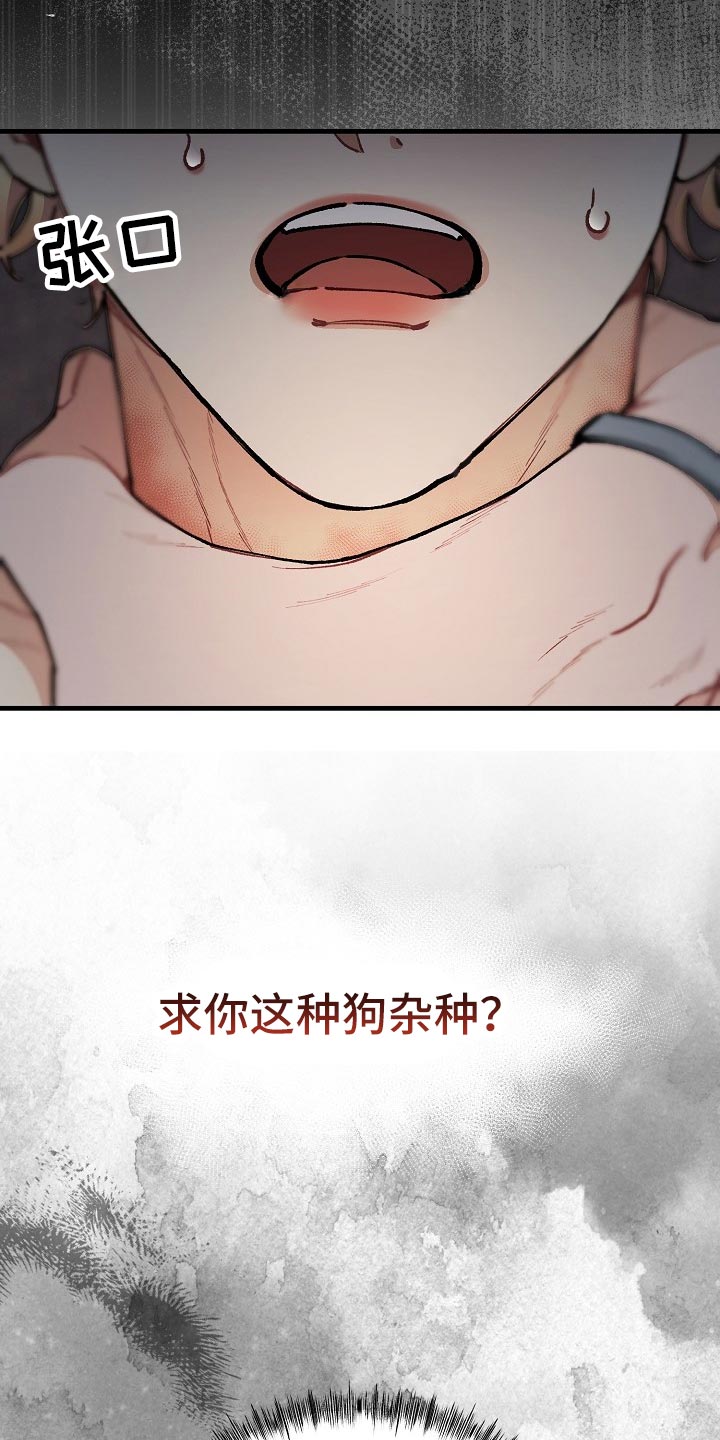 绝望列车漫画,第63章：【第二季】最后的挣扎和机会1图